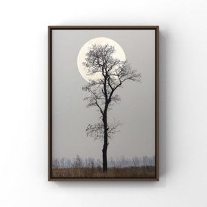 Beautiful winter tree & full moon photo art print